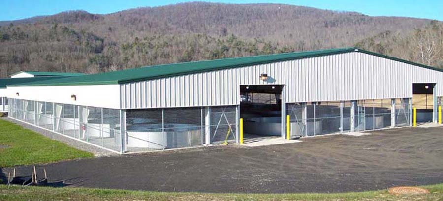 Ag Building with green roof panels